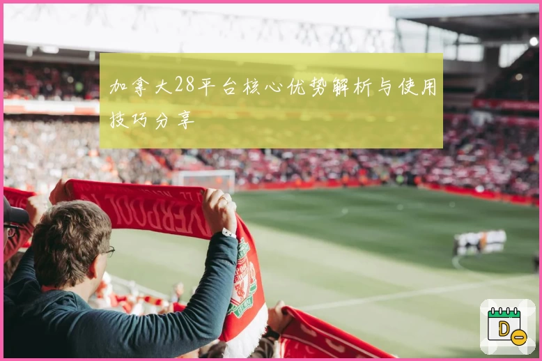 加拿大28平台核心优势解析与使用技巧分享