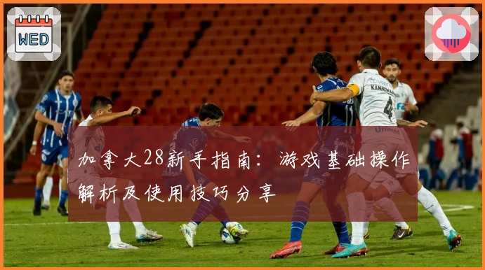 加拿大28新手指南：游戏基础操作解析及使用技巧分享