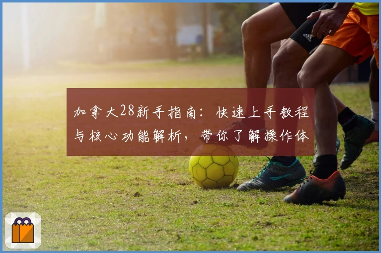 加拿大28新手指南：快速上手教程与核心功能解析，带你了解操作体验与平台优势
