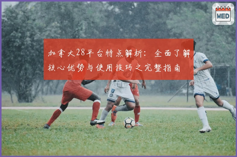 加拿大28平台特点解析：全面了解核心优势与使用技巧之完整指南
