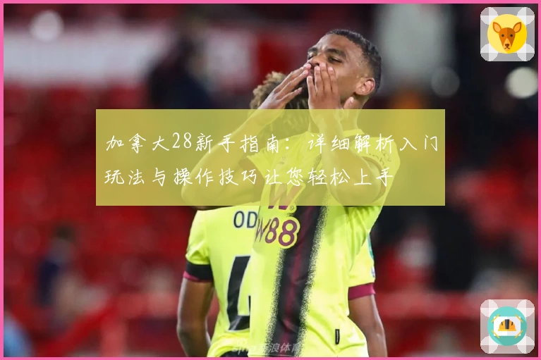 加拿大28新手指南：详细解析入门玩法与操作技巧让您轻松上手
