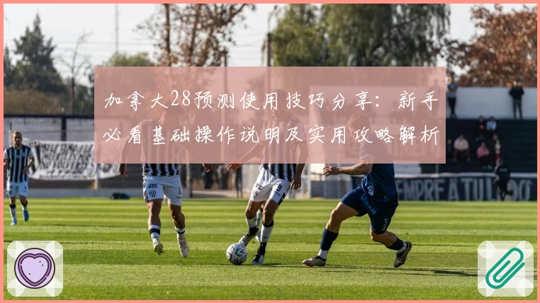 加拿大28预测使用技巧分享：新手必看基础操作说明及实用攻略解析