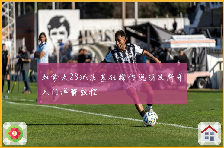 加拿大28玩法基础操作说明及新手入门详解教程