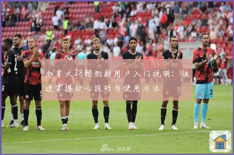 加拿大28预测新用户入门说明：快速掌握核心技巧与使用方法