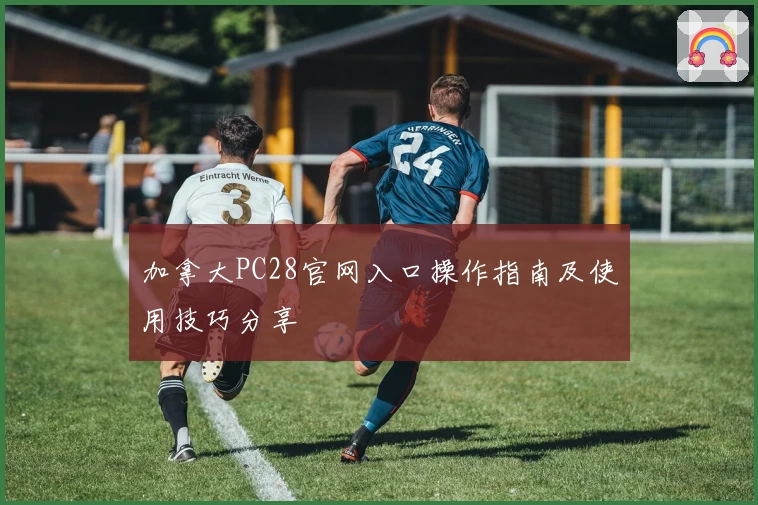 加拿大PC28官网入口操作指南及使用技巧分享