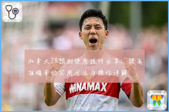 加拿大28预测使用技巧分享：提高准确率的实用方法与操作详解