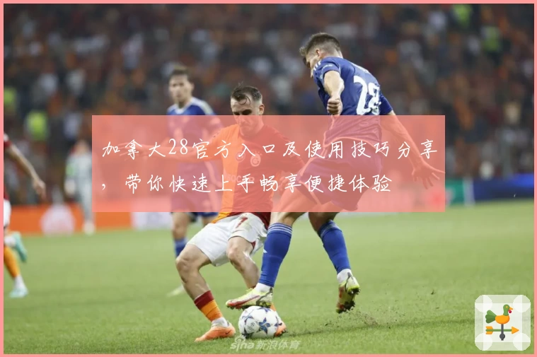 加拿大28官方入口及使用技巧分享，带你快速上手畅享便捷体验