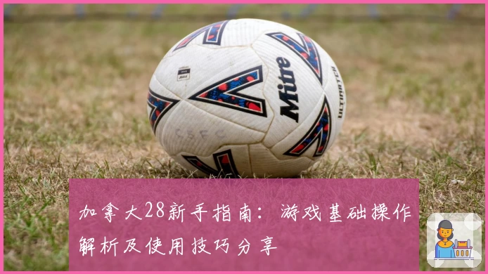 加拿大28新手指南：游戏基础操作解析及使用技巧分享
