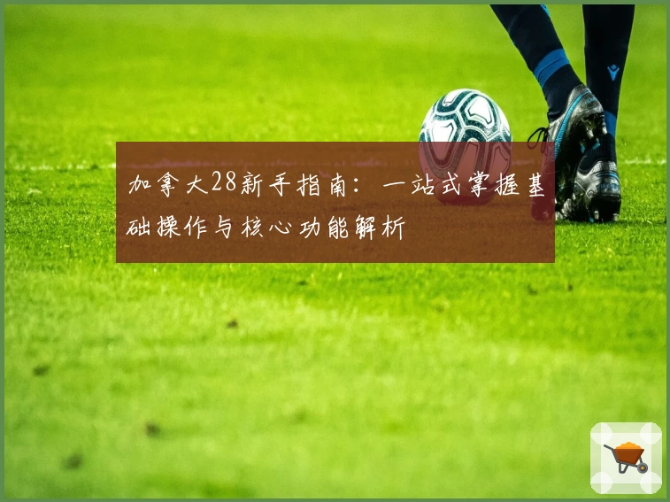 加拿大28新手指南：一站式掌握基础操作与核心功能解析