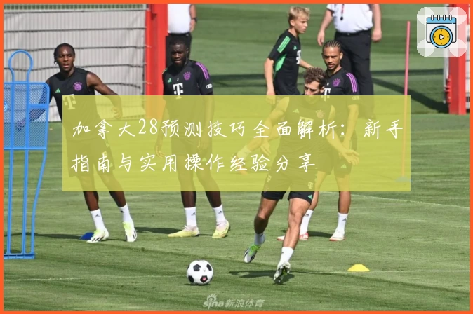 加拿大28预测技巧全面解析：新手指南与实用操作经验分享